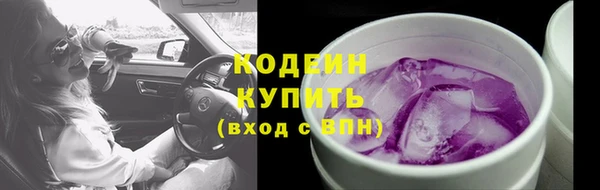 таблы Богородицк