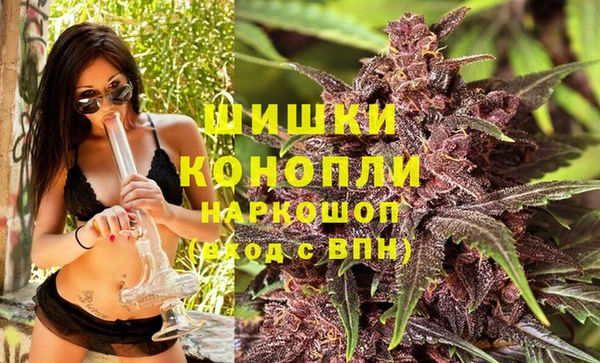 таблы Богородицк