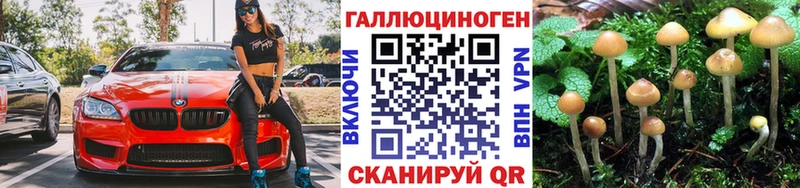 OMG ссылка  продажа наркотиков  Можга  Галлюциногенные грибы Cubensis 
